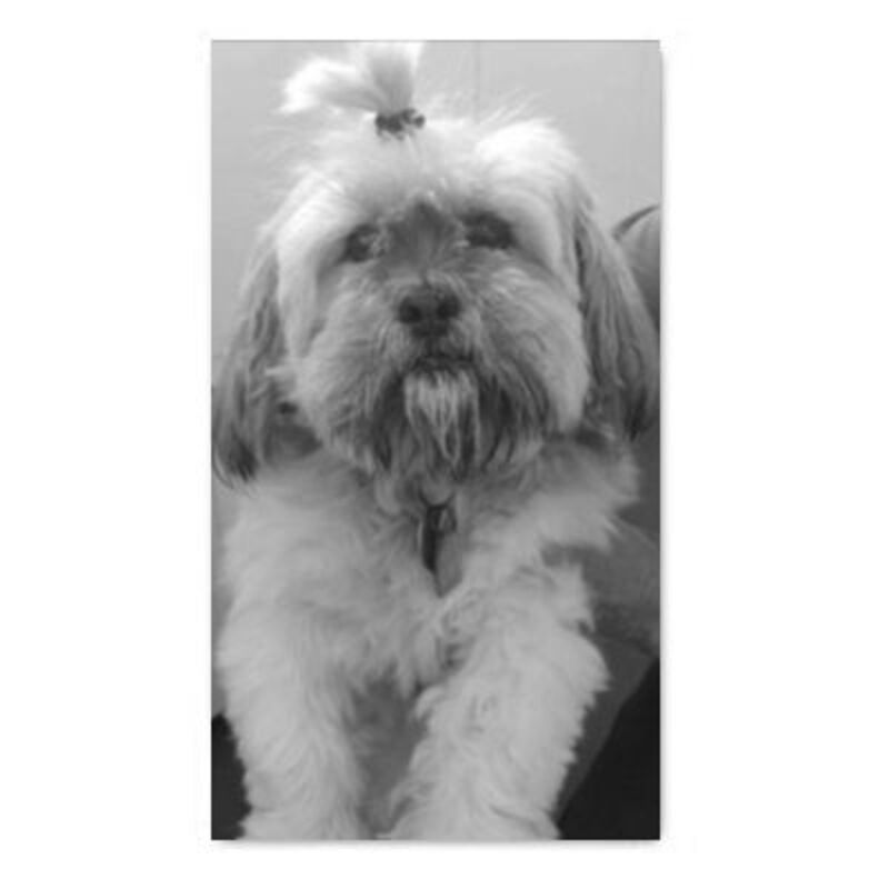 'DOGGIE SELFIE' UP Your Beach Towel Thumbnail